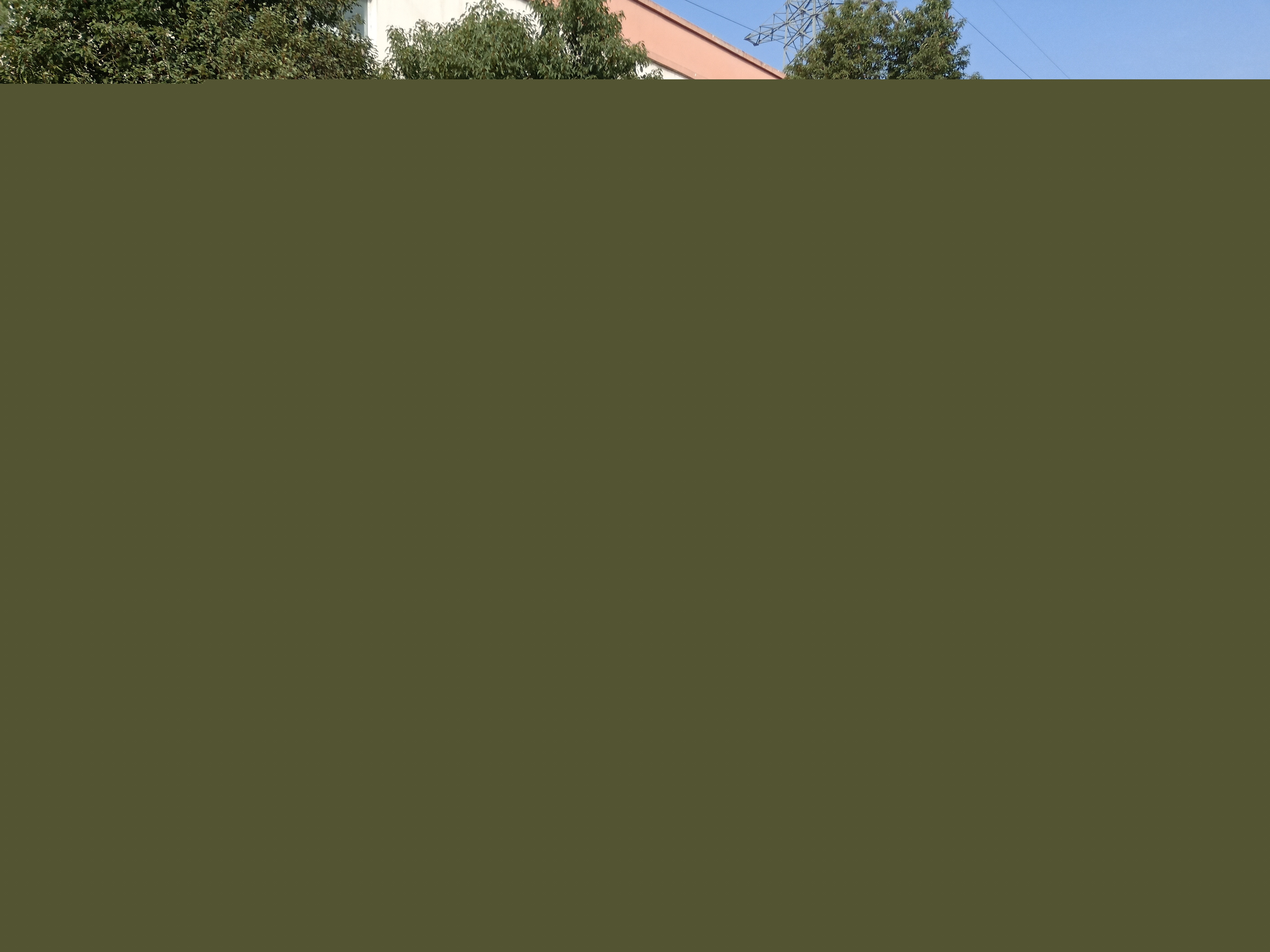 /202109/1630996311_6df513b96f7115fdde98.jpg